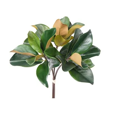 Gervi Magnolia Lauf